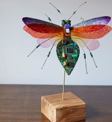 Computer Bug Art