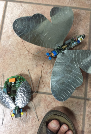 <!-- wings & boards -->